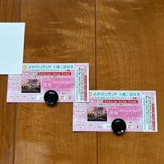 読売ランド入園ご招待券　本年5/31まで ペアチケット　2枚セッ...
