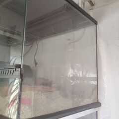 90×45センチガラスケース　爬虫類用前開きの画像