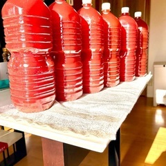 PSB光合成細菌(２ℓ)期間限定価格
