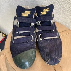 野球のポイントスパイク　30センチ
の画像