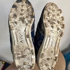 野球のポイントスパイク　30センチ
の画像