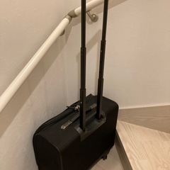ace.GENE エースジーン　キャリーケースの画像