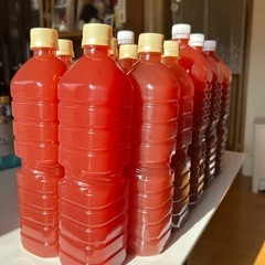 PSB光合成細菌（900ml）期間限定価格