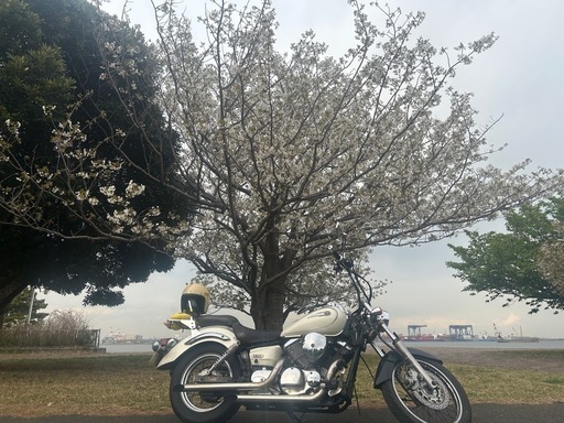 ドラッグスター250クラシック