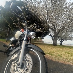ドラッグスター250クラシックの画像