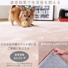 アイリスオーヤマ カーペット ラグ クッションラグ 厚さ3㎝ 極厚 もっちり 185×240cm 滑り止め付き ホットカーペット対応 3畳 はっ水加工 遮音効果 低ホルム もちもち 北欧 おしゃれ マット ACRB-1824 ブラウンの画像