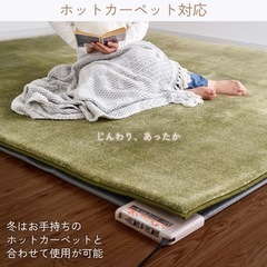 アイリスオーヤマ カーペット ラグ クッションラグ 厚さ3㎝ 極厚 もっちり 185×240cm 滑り止め付き ホットカーペット対応 3畳 はっ水加工 遮音効果 低ホルム もちもち 北欧 おしゃれ マット ACRB-1824 ブラウンの画像