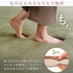 アイリスオーヤマ カーペット ラグ クッションラグ 厚さ3㎝ 極厚 もっちり 185×240cm 滑り止め付き ホットカーペット対応 3畳 はっ水加工 遮音効果 低ホルム もちもち 北欧 おしゃれ マット ACRB-1824 ブラウンの画像
