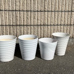 陶器鉢３、プラ鉢１