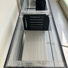 水槽　海水魚　熱帯魚　メダカの画像