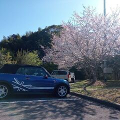 【壊れにくい車のTOP３にランキングされたBMW/MINI】”Cute but Monster Convertible”～"The Greatest Small Car in The World!!"～「オープンカーの醍醐味を知らずに人生を過ごすなんて勿体ない！」の画像