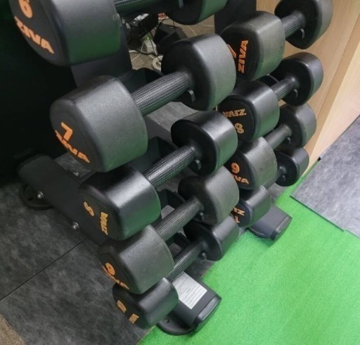 ZIVA ダンベルセット 1〜10kg2個ずつ ダンベルラック付き ivanko