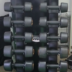 ZIVA ダンベルセット 1〜10kg2個ずつ ダンベルラック付きivanko ZIVA ダンベルセット 1〜10kg2個ずつ ダンベルラック付きivanko