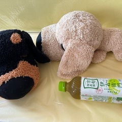 鼻でかの画像