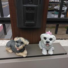 シュナイダー犬、マルチーズ犬（陶器置物箱有り）各おひとつ