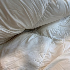 ニトリ　羽毛布団
の画像