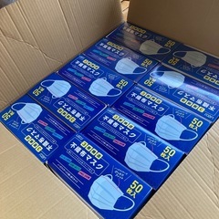 新品　
不織布マスク50枚入り 3層構造 立体プリーツ加工 ノー...