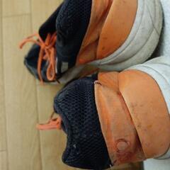 靴24.5cmの画像