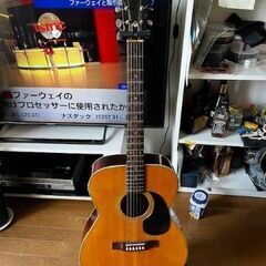 ARIA Ｆ－１００　　トリプルオーサイズ アリア