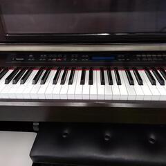 ヤマハクラビノーバ　83241の画像