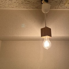 【中目黒】照明ランプ木目　アラジンランプ