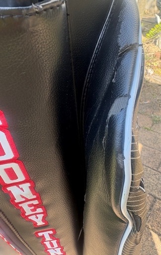 ﾙｰﾆｰﾃｭｰﾝｽﾞ限定ｶﾗｰｷｬﾃﾞｨｰﾊﾞｯｸﾞUSED!