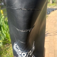 ﾙｰﾆｰﾃｭｰﾝｽﾞ限定ｶﾗｰｷｬﾃﾞｨｰﾊﾞｯｸﾞUSED!