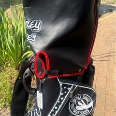 ﾙｰﾆｰﾃｭｰﾝｽﾞ限定ｶﾗｰｷｬﾃﾞｨｰﾊﾞｯｸﾞUSED!の画像