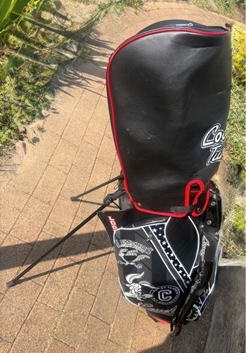 ﾙｰﾆｰﾃｭｰﾝｽﾞ限定ｶﾗｰｷｬﾃﾞｨｰﾊﾞｯｸﾞUSED!