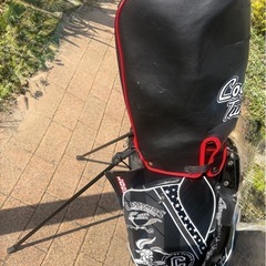 ﾙｰﾆｰﾃｭｰﾝｽﾞ限定ｶﾗｰｷｬﾃﾞｨｰﾊﾞｯｸﾞUSED!の画像