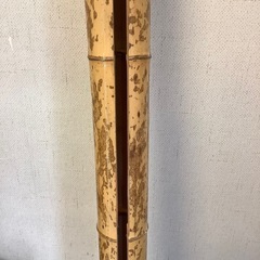 すす竹の画像