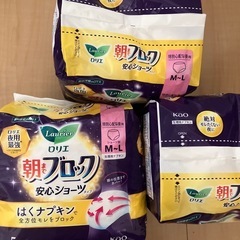 生理用ナプキン ショーツ型