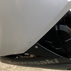 カワサキニンジャ250ccの画像