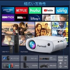 Pericat 4K対応プロジェクター 11000ルーメンの画像