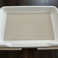 犬 トイレトレー