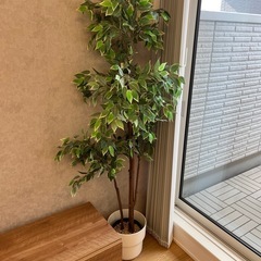 人工観葉植物　鉢カバー付き！ 