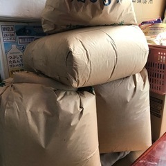 🌾玄米　予約済み決定です❗️