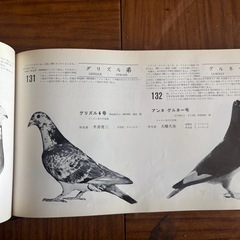 現代銘鳩写真大観2の画像