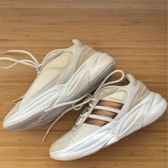 【美品】アディダス　スニーカー　アボゼル　24cmの画像