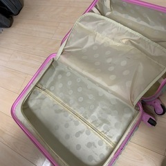 キャリーバッグの画像