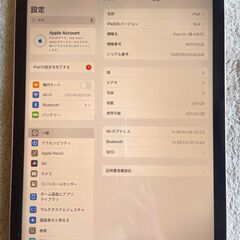 ipad air第４世代　10.9インチ　A2316 ２５６GB　wifi バッテリー７４%の画像
