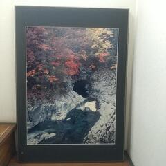 写真パネルの画像