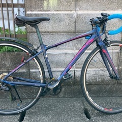 LiV AVAIL1 2019モデル(カスタム車)