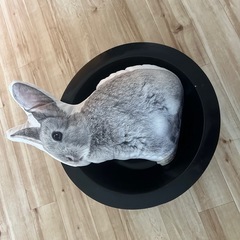 ペットの木製ベッドの画像