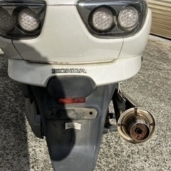 和歌山県白浜町日置　フォルツァMF08の画像