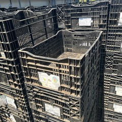 コンテナボックスの画像