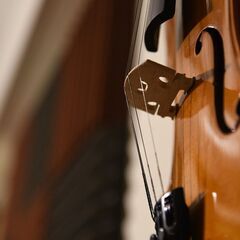 🏡豊島区北大塚　🎻バイオリン教室🎻の画像