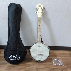 【ほぼ新品】バンジョーの形をしたウクレレ🪕