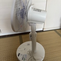 扇風機 ヤマゼンYKLX-SD301の画像