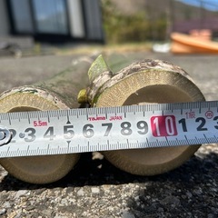 太めの竹2本の画像